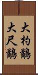 大杓鷸 Scroll
