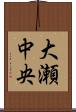 大瀬中央 Scroll