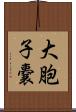 大胞子嚢 Scroll