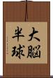 大脳半球 Scroll