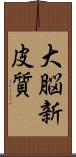 大脳新皮質 Scroll