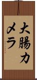 大腸カメラ Scroll