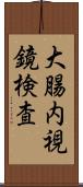 大腸内視鏡検査 Scroll