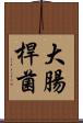 大腸桿菌 Scroll