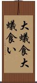 大蟻食 Scroll