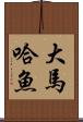 大馬哈魚 Scroll