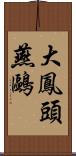 大鳳頭燕鷗 Scroll