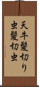 天牛 Scroll