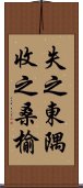 失之東隅，收之桑榆 Scroll