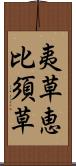 夷草 Scroll