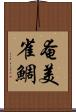 奄美雀鯛 Scroll