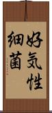 好気性細菌 Scroll