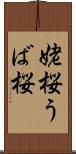 姥桜 Scroll