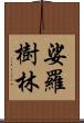 娑羅樹林 Scroll