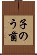 子のう菌 Scroll