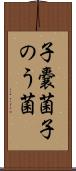 子嚢菌 Scroll