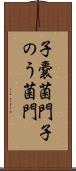 子嚢菌門 Scroll