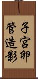 子宮卵管造影 Scroll