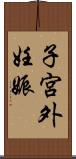 子宮外妊娠 Scroll