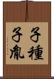 子種 Scroll