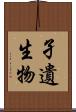 孑遺生物 Scroll