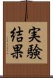 実験結果 Scroll
