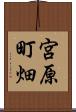 宮原町畑 Scroll