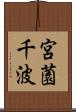宮薗千波 Scroll