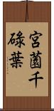 宮薗千碌葉 Scroll