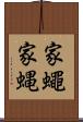 家蠅 Scroll