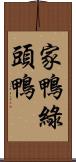 家鴨綠頭鴨 Scroll