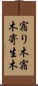 宿り木 Scroll