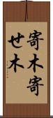 寄木 Scroll