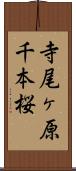 寺尾ヶ原千本桜 Scroll