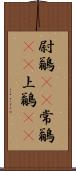 尉鶲(rK) Scroll