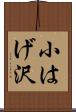 小はげ沢 Scroll