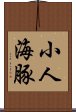 小人海豚 Scroll