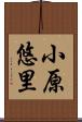 小原悠里 Scroll