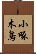 小啄木鳥 Scroll