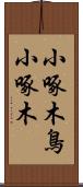 小啄木鳥 Scroll
