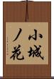 小城ノ花 Scroll