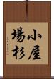 小屋場杉 Scroll