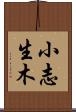 小志生木 Scroll