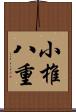 小椎八重 Scroll