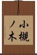 小槻ノ木 Scroll