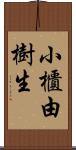 小櫃由樹生 Scroll