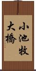 小池牧大橋 Scroll