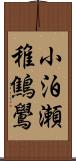 小泊瀬稚鷦鷽 Scroll