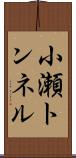 小瀬トンネル Scroll