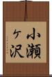 小瀬ヶ沢 Scroll